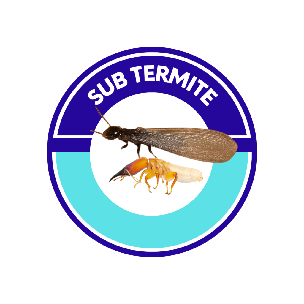 subterranean termite Maricopa pest control